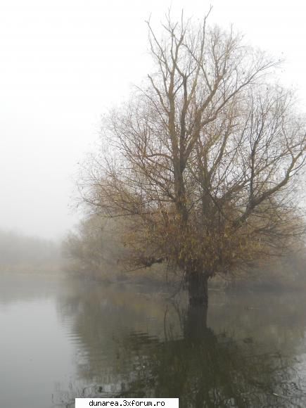 lac 19/20 noiembrie 2010 ...