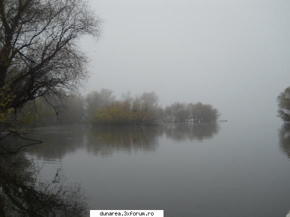 lac 19/20 noiembrie 2010 ...