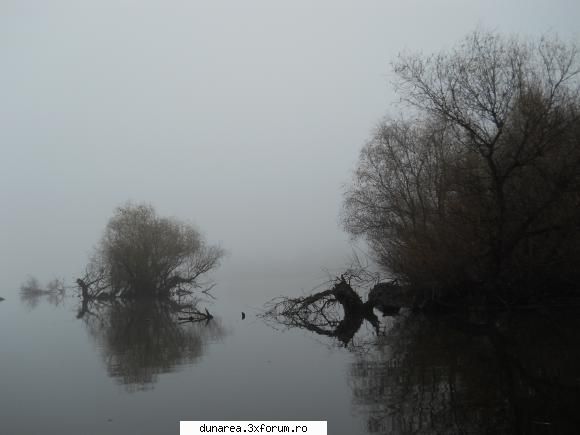 lac 19/20 noiembrie 2010 ...