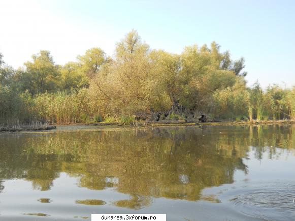 lac vacaru canal vacaru...