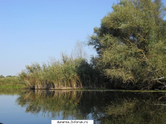 lac vacaru canal vacaru...