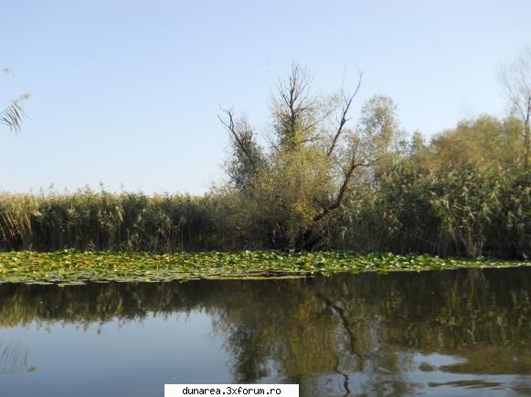 lac vacaru canal vacaru...