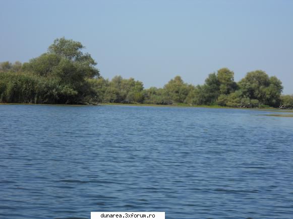 lac vacaru lac vacaru...