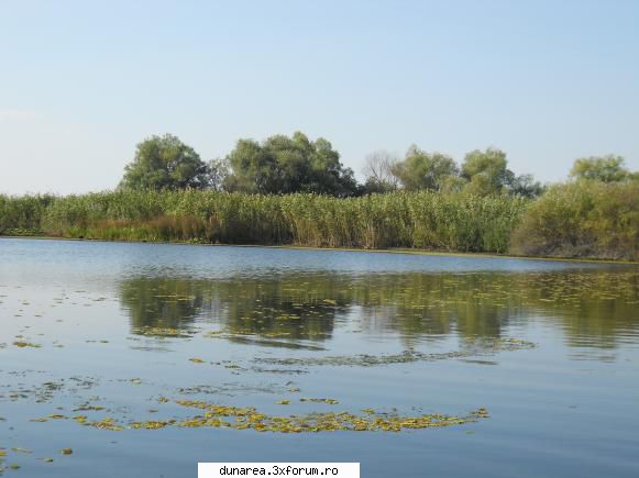 lac vacaru ...