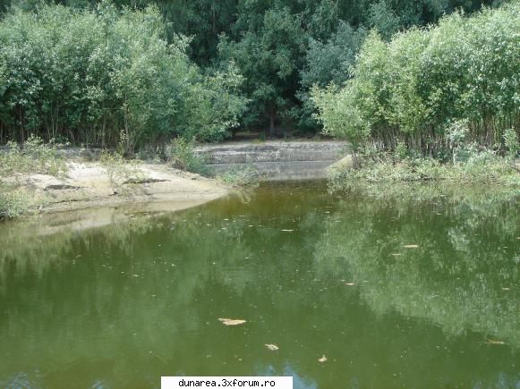 ... asta e intrarea pe canal dinspre amonte . in poza e secata . nu primeste apa .

cota la data