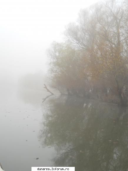 ... lac - 19/20 noiembrie 2010