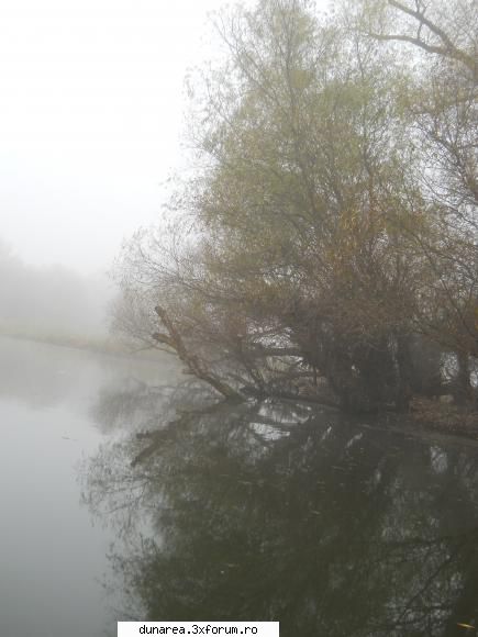 ... lac - 19/20 noiembrie 2010