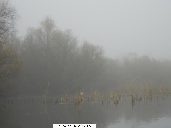 ... lac - 19/20 noiembrie 2010