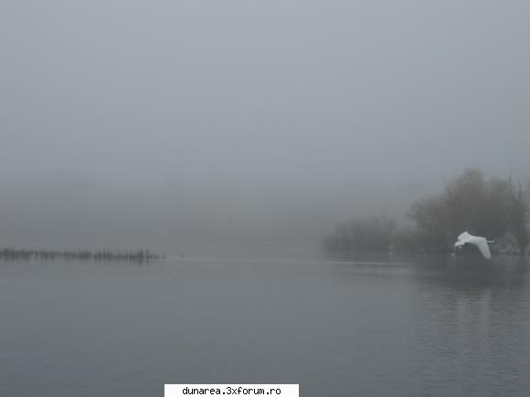 ... lac - 19/20 noiembrie 2010