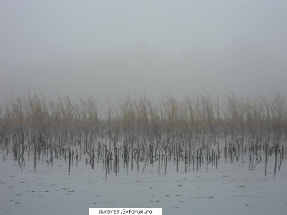 ... lac - 19/20 noiembrie 2010