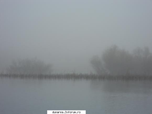 ... lac - 19/20 noiembrie 2010
