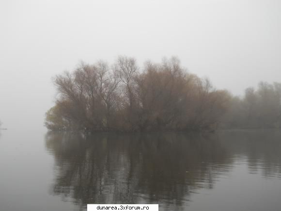 ... lac - 19/20 noiembrie 2010