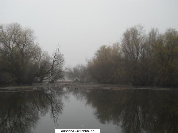 ... lac - 19/20 noiembrie 2010