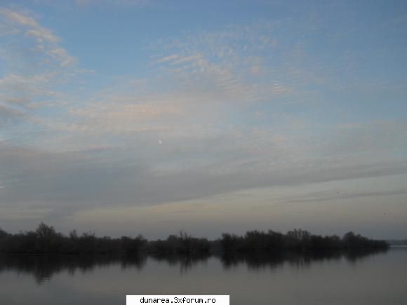 ... lac - 19/20 noiembrie 2010