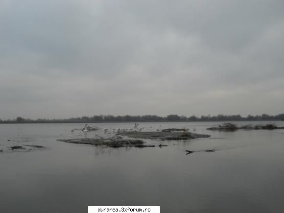 ...asta-i in nisiposu, undeva la intrea in canalul ce duce spre partizani. lac - 19/20 noiembrie