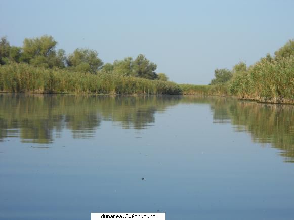 intrarea in canalul ce leaga ligheanca de vacarul (capatul sudic - intrarea din lac vacaru