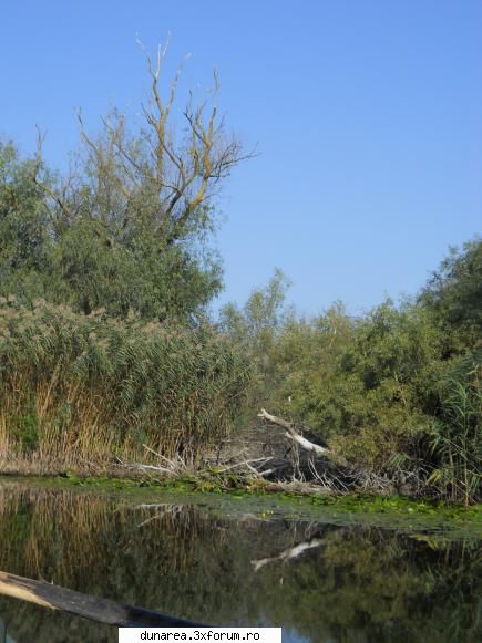 canal vacaru... lac vacaru