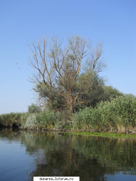 canal vacaru... lac vacaru