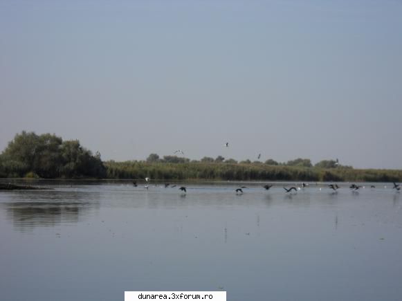 lac vacaru... lac vacaru