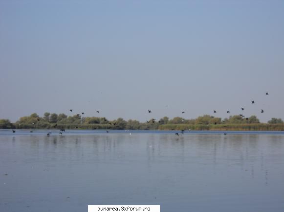lac vacaru... lac vacaru