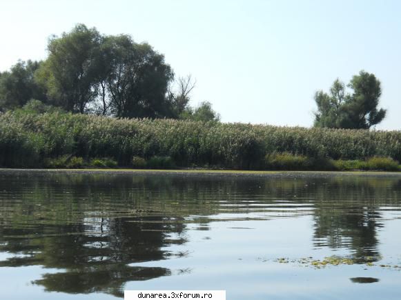 lac vacaru... lac vacaru