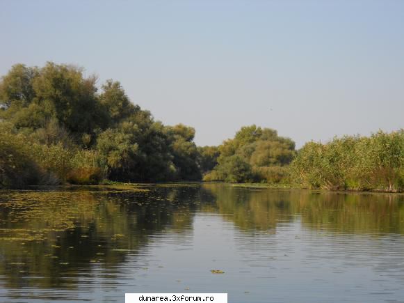... lac vacaru