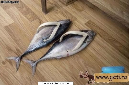:rotfl:  :rotfl:  :rotfl:  :rotfl:  :rotfl:  :rotfl:  :rotfl:  :rotfl:  :rotfl:  :rotfl:  :rotfl: